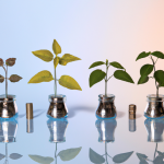 Environmental Finance Updates: Investing in a Sustainable Future